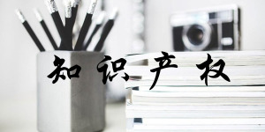 黑龍江連續(xù)12年深入開展中小學(xué)知識產(chǎn)權(quán)教育工作